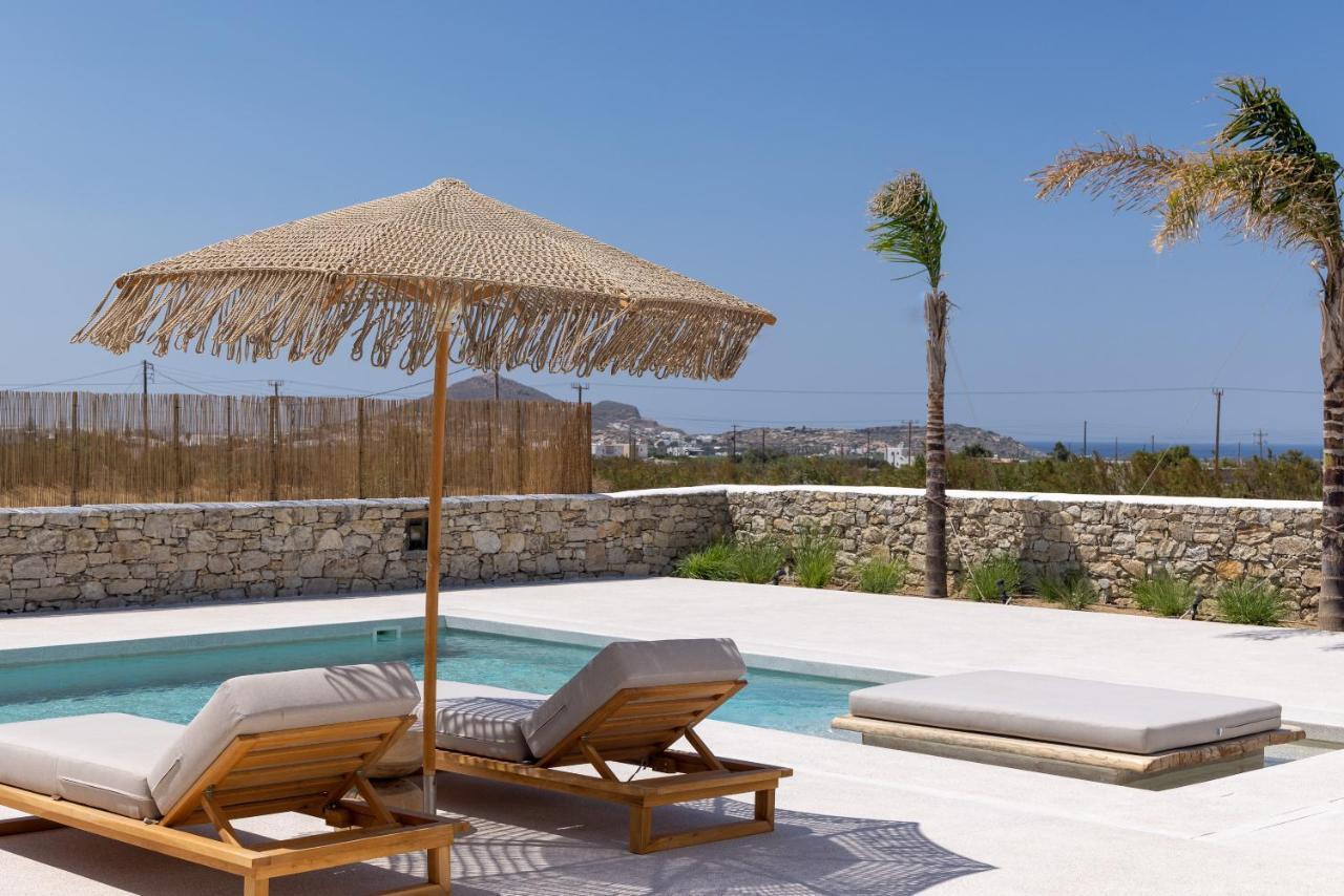 Cocopalm Villas Naxos Agios Arsenios Kültér fotó